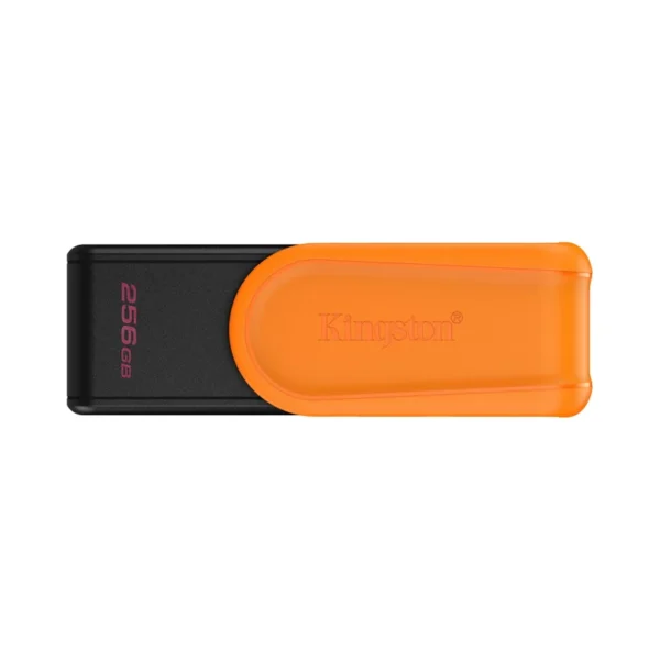 Kingston USB UFD DTXS 3.2 Gen 1 256GB