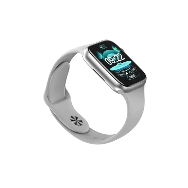 Modio sat MC66 SILVER